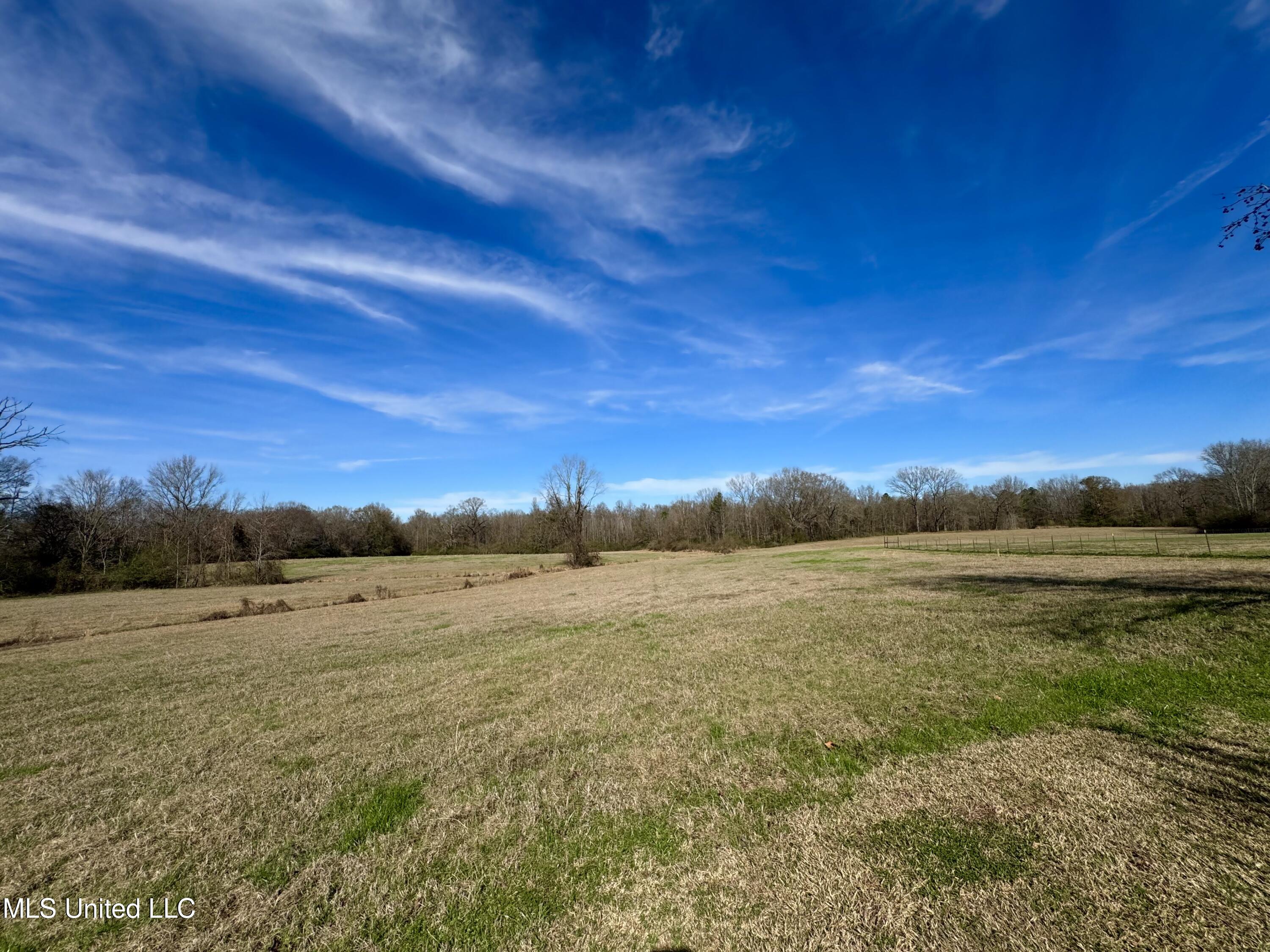 2720 Davis Road Byram, MS 39170 - Photo 11 of 40 IMG_2019