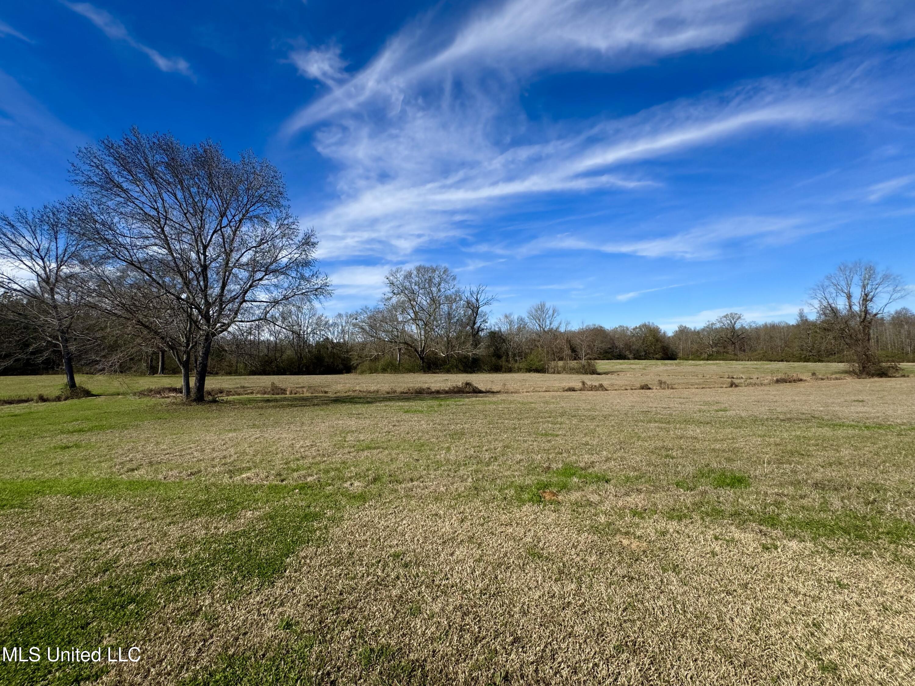 2720 Davis Road Byram, MS 39170 - Photo 12 of 40 IMG_2018