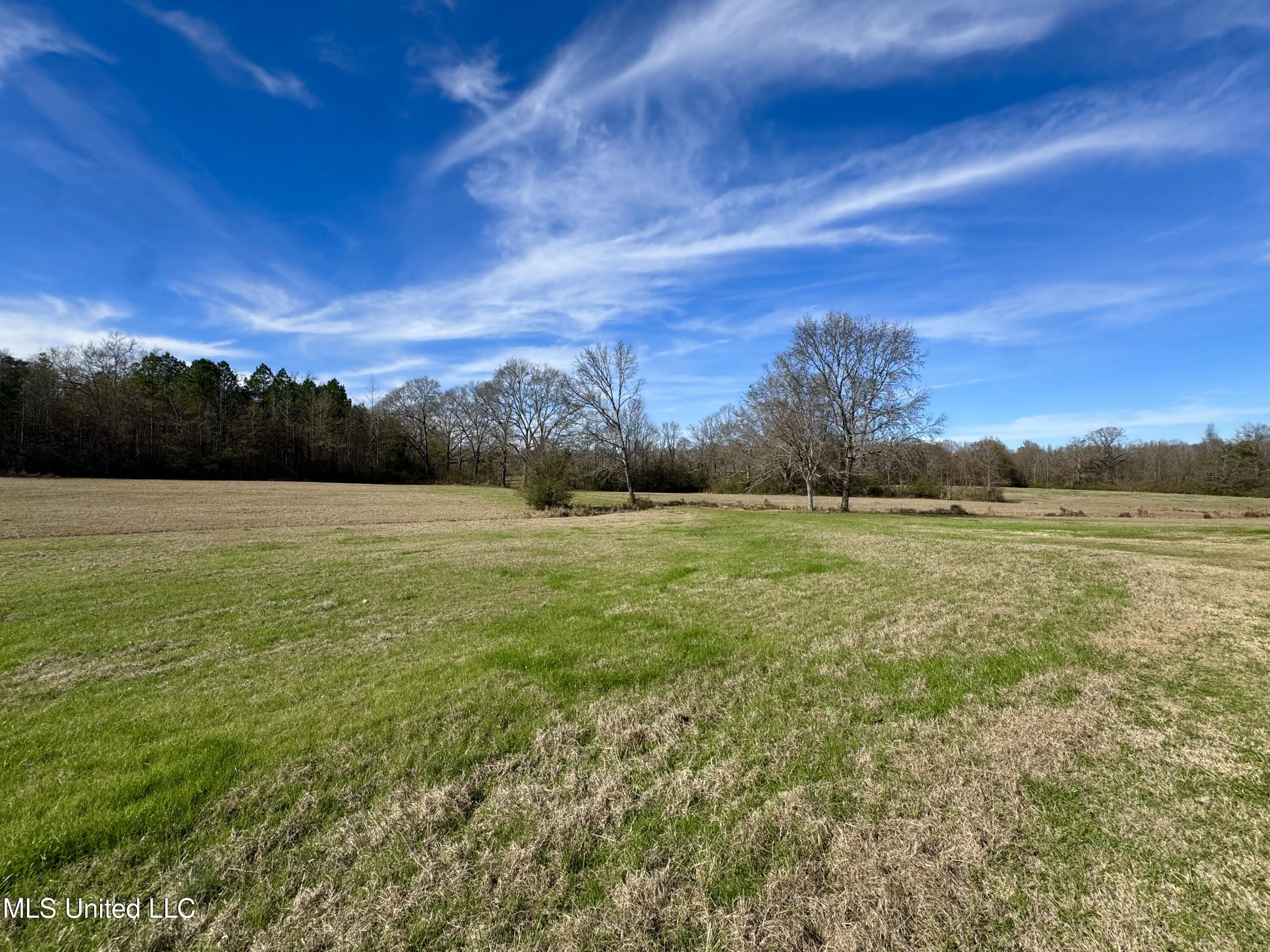 2720 Davis Road Byram, MS 39170 - Photo 13 of 40 IMG_2017