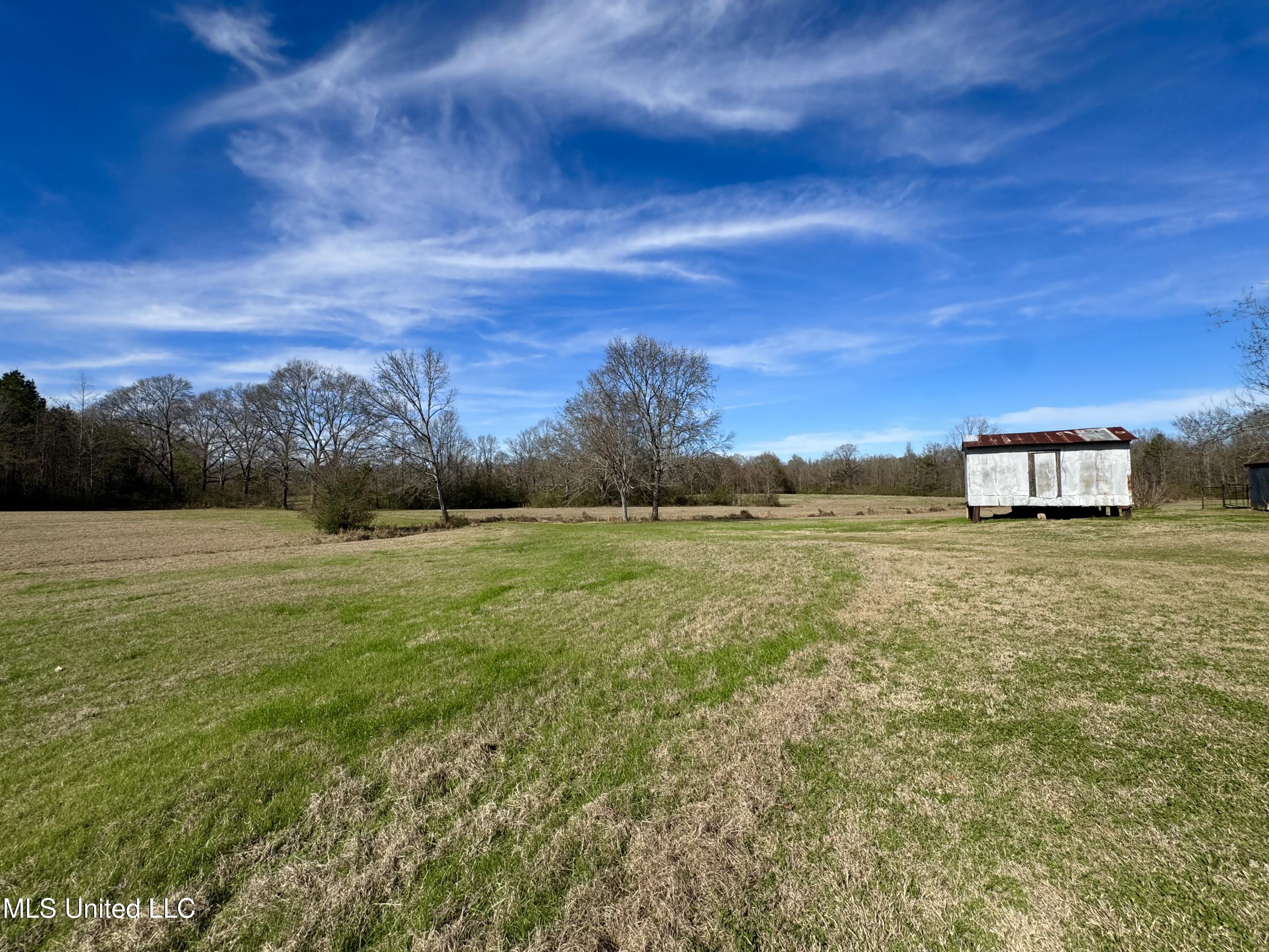 2720 Davis Road Byram, MS 39170 - Photo 14 of 40 IMG_2016