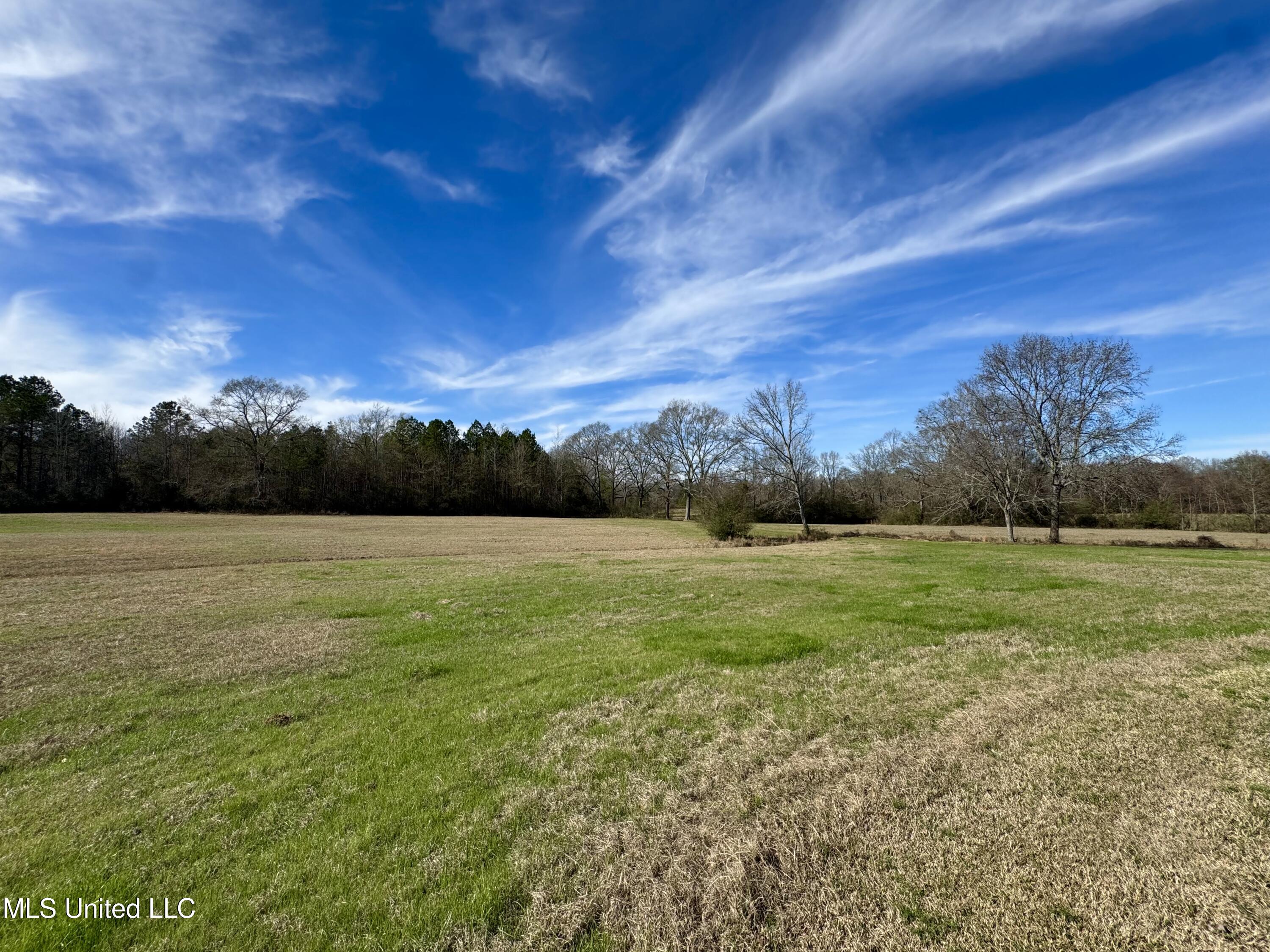 2720 Davis Road Byram, MS 39170 - Photo 15 of 40 IMG_2015