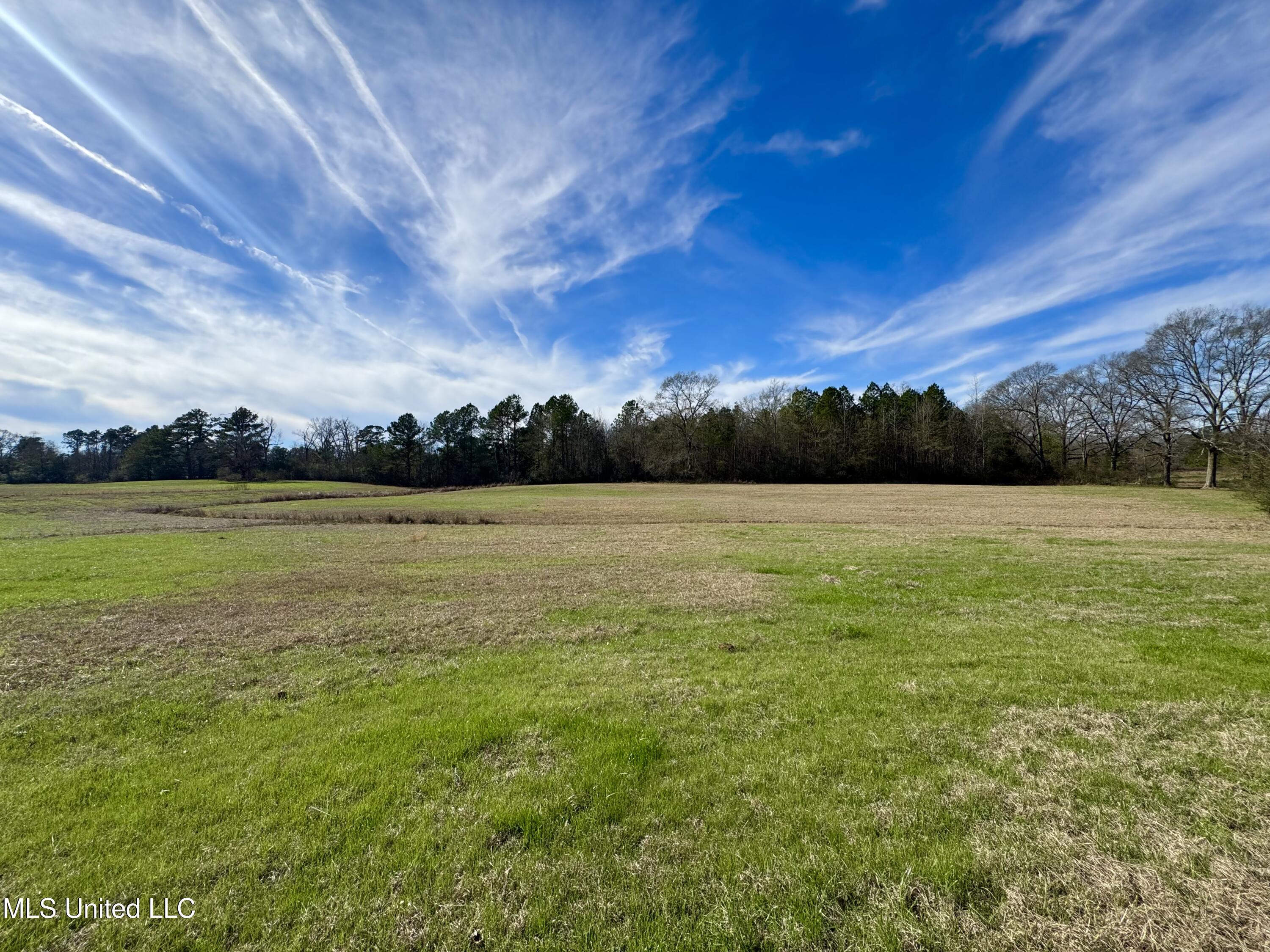 2720 Davis Road Byram, MS 39170 - Photo 16 of 40 IMG_2014