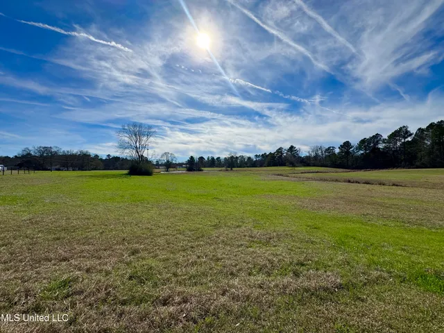 $1,250,000 | 2720 Davis Road, Byram, MS 39170