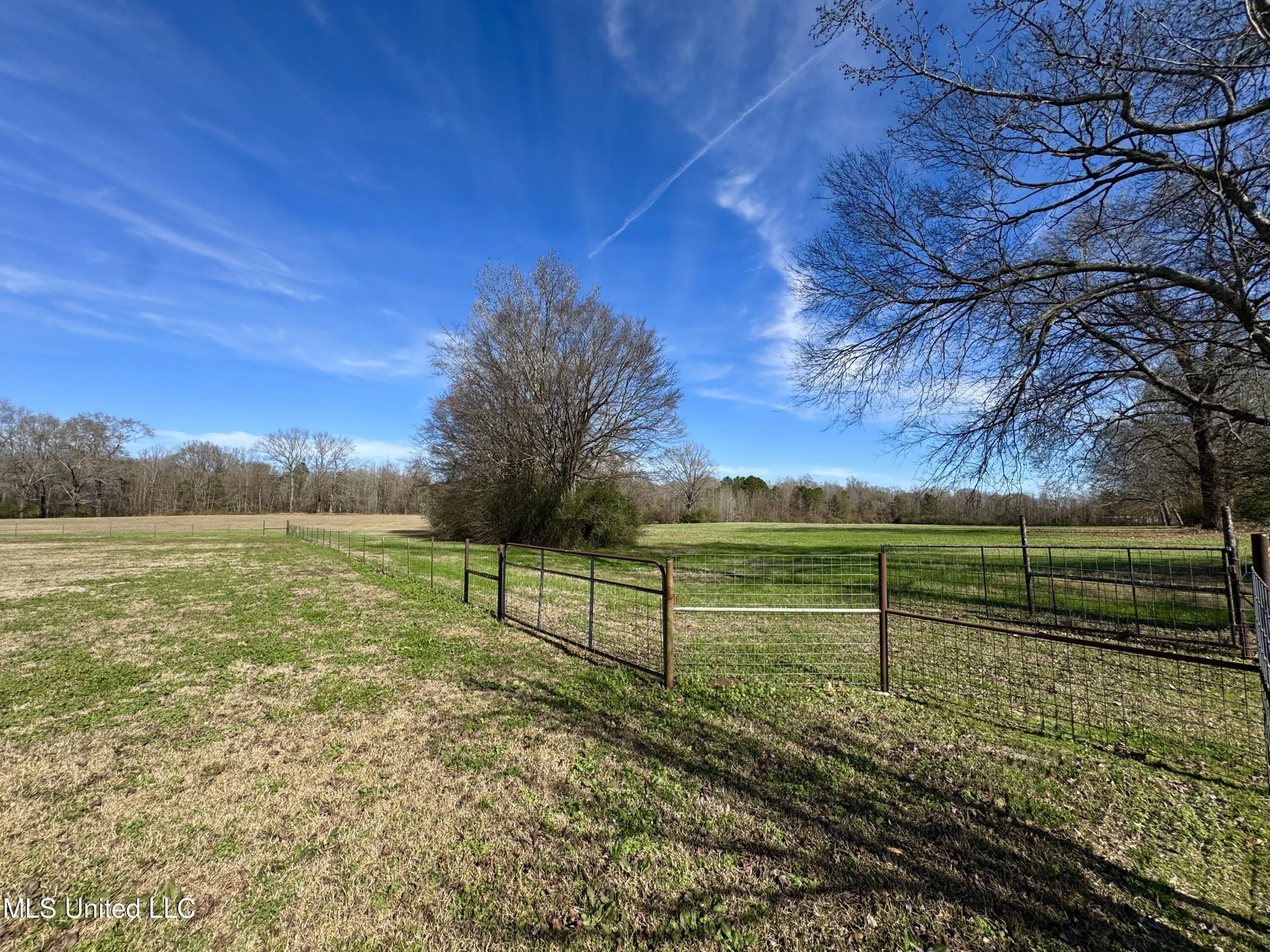 2720 Davis Road Byram, MS 39170 - Photo 23 of 40 IMG_2001
