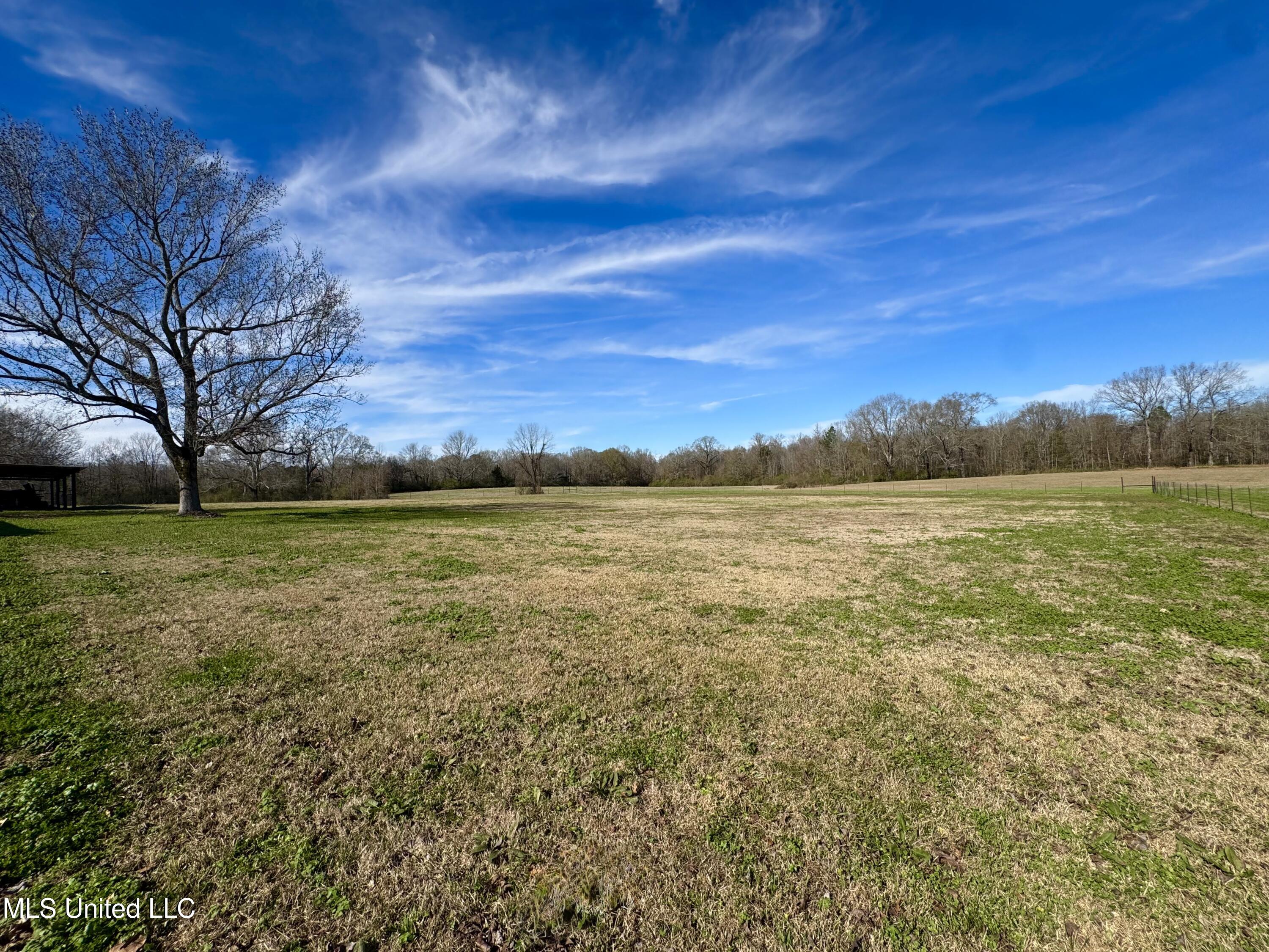 2720 Davis Road Byram, MS 39170 - Photo 24 of 40 IMG_1999