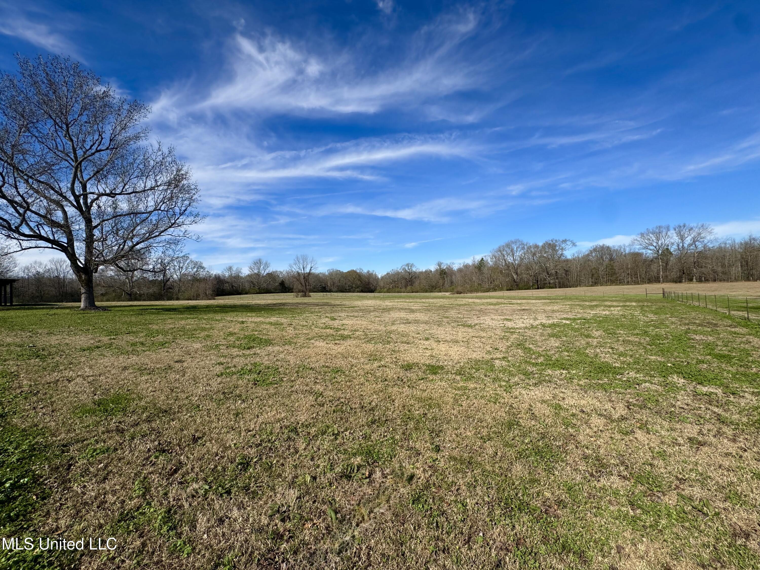 2720 Davis Road Byram, MS 39170 - Photo 25 of 40 IMG_1998