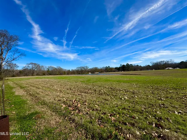 $1,250,000 | 2720 Davis Road, Byram, MS 39170