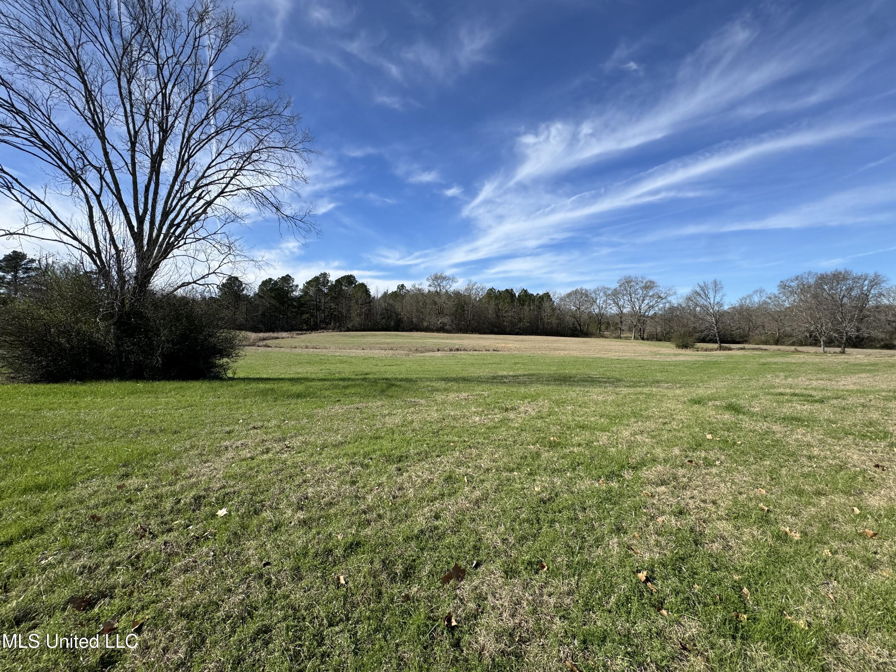 2720 Davis Road Byram, MS 39170 - Photo 37 of 40 IMG_1980