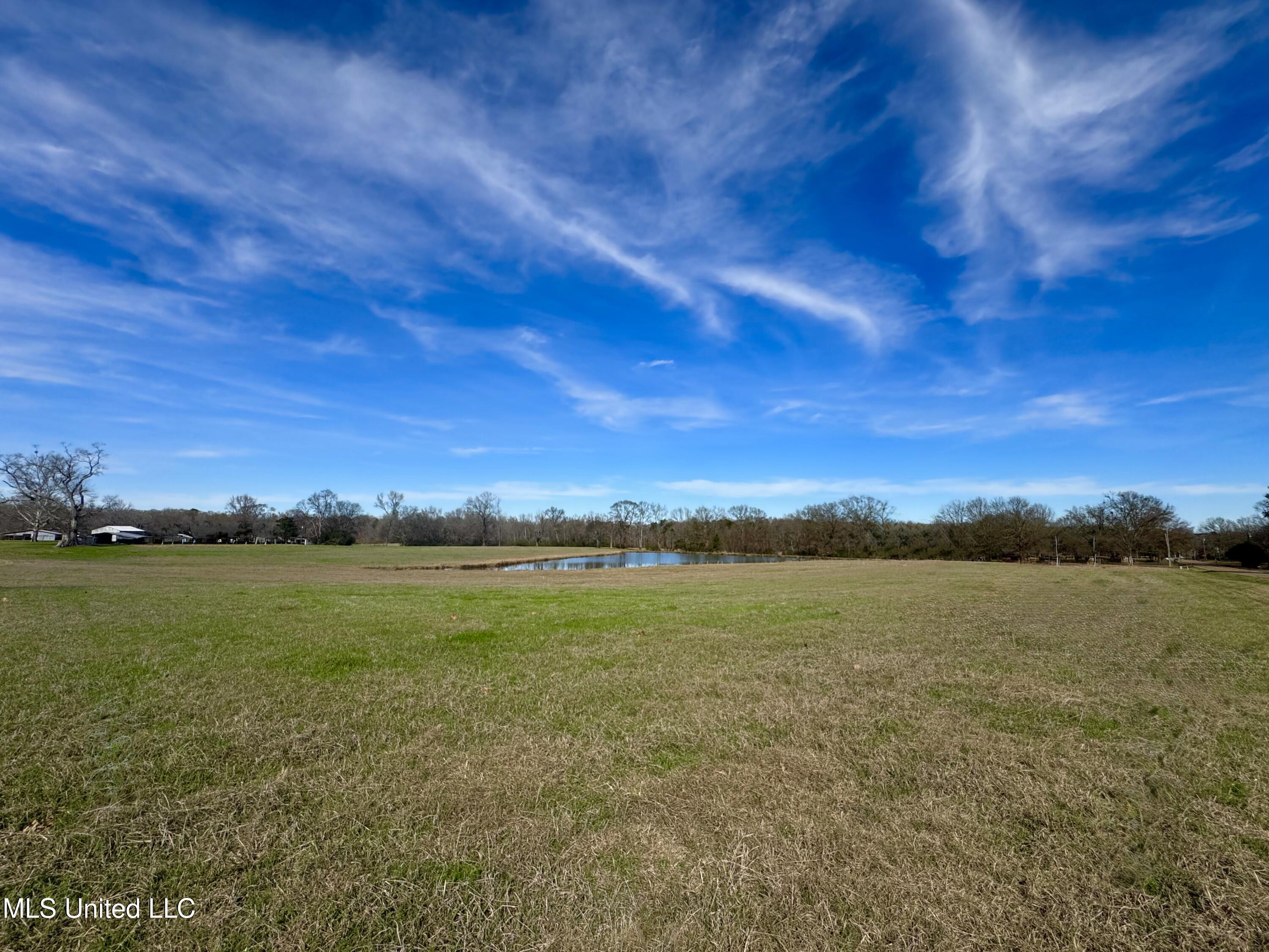 2720 Davis Road Byram, MS 39170 - Photo 5 of 40 IMG_2027