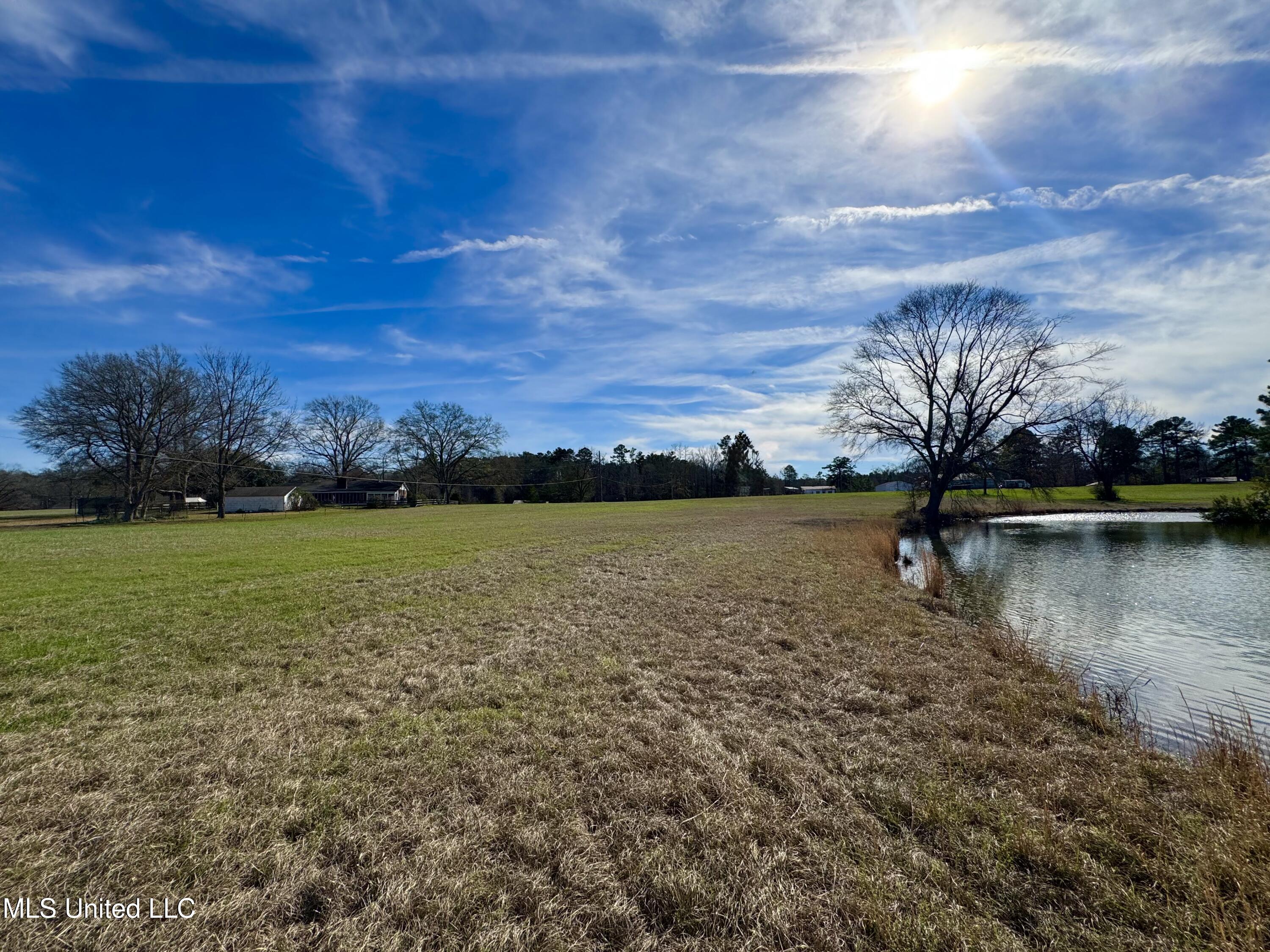 2720 Davis Road Byram, MS 39170 - Photo 6 of 40 IMG_2026
