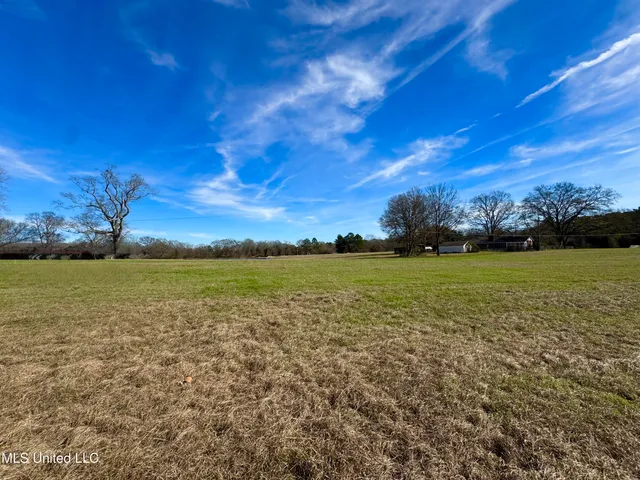 $1,250,000 | 2720 Davis Road, Byram, MS 39170