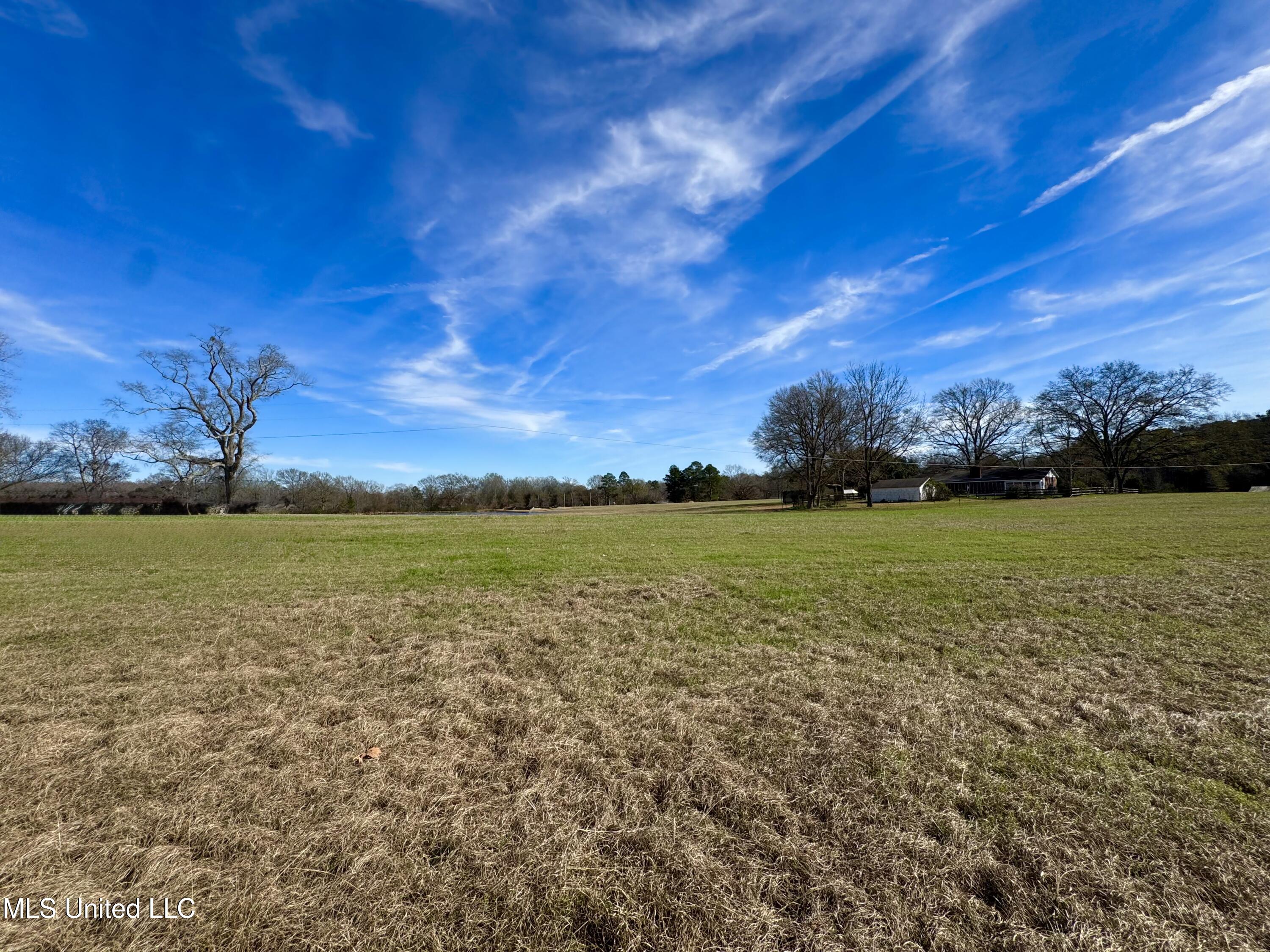 2720 Davis Road Byram, MS 39170 - Photo 7 of 40 IMG_2025