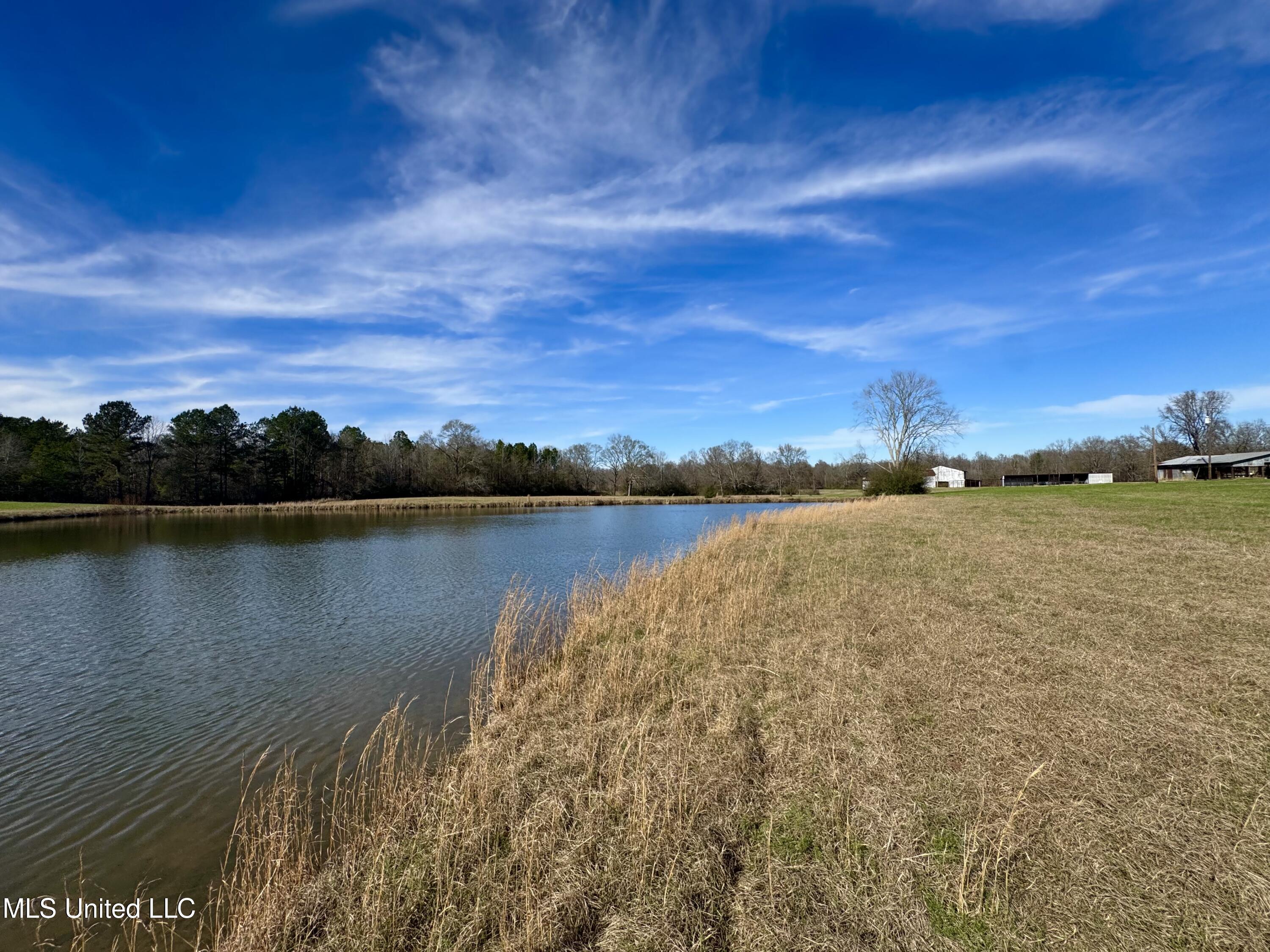 2720 Davis Road Byram, MS 39170 - Photo 8 of 40 IMG_2024