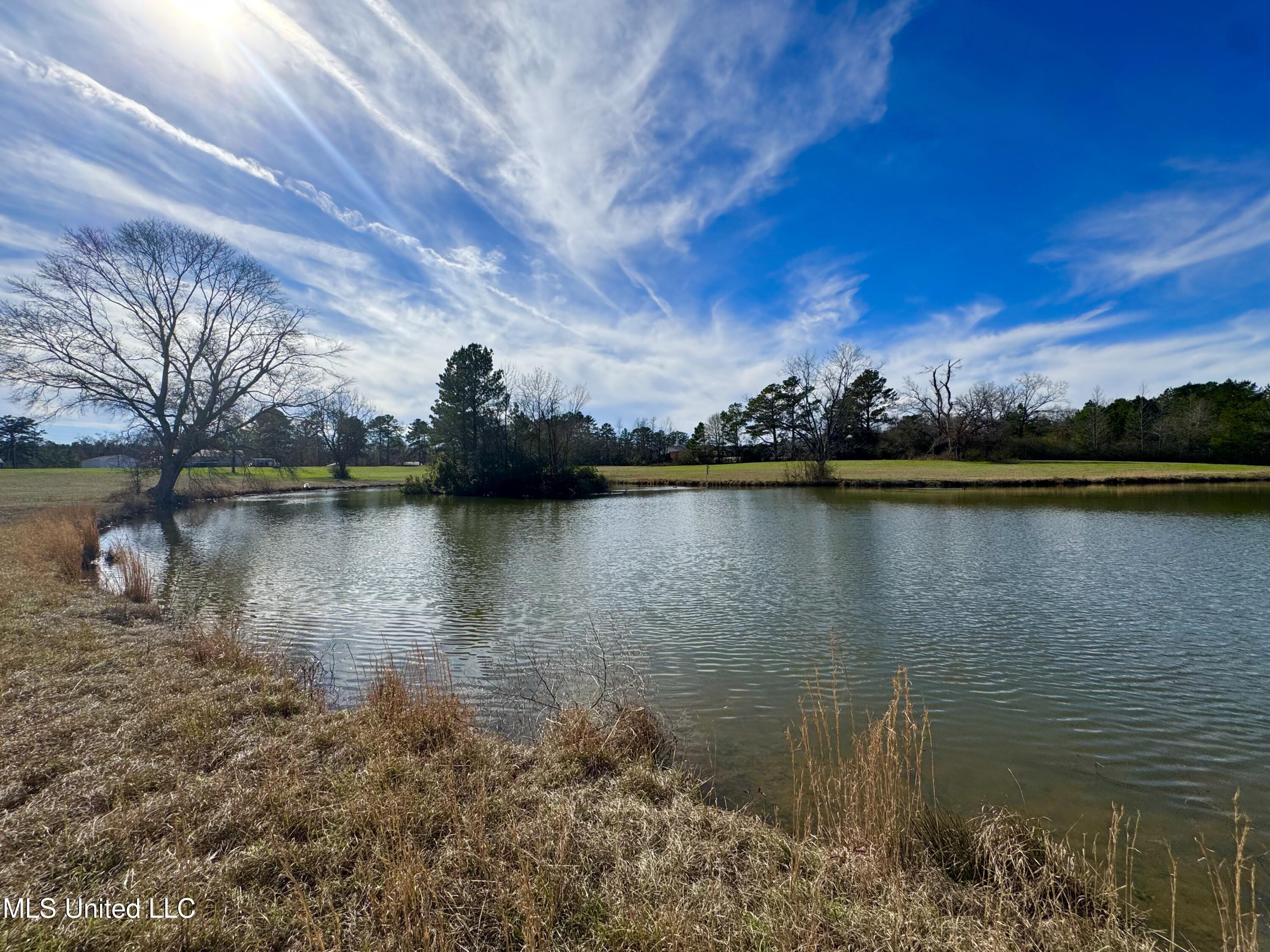 2720 Davis Road Byram, MS 39170 - Photo 9 of 40 IMG_2022