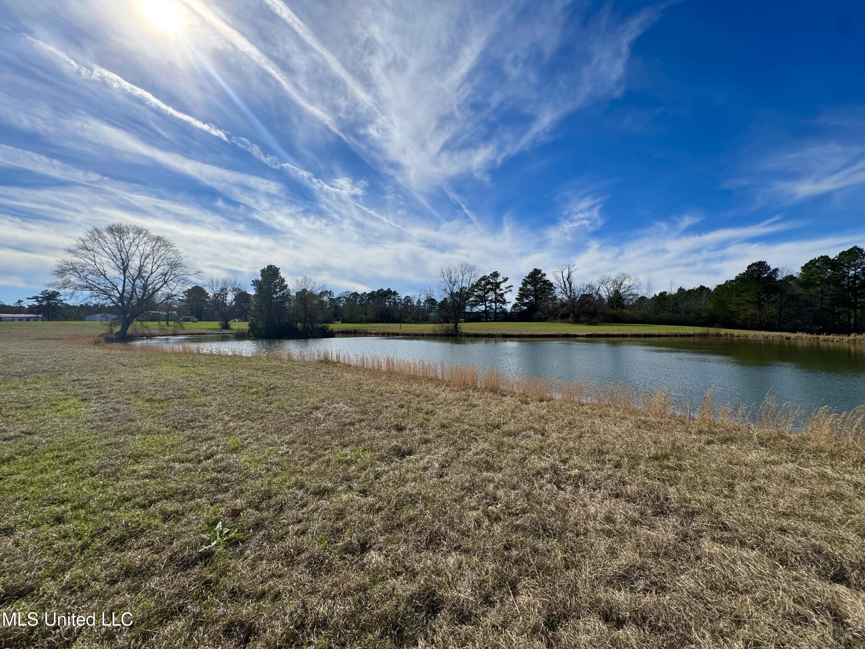 2720 Davis Road Byram, MS 39170 - Photo 10 of 40 IMG_2021