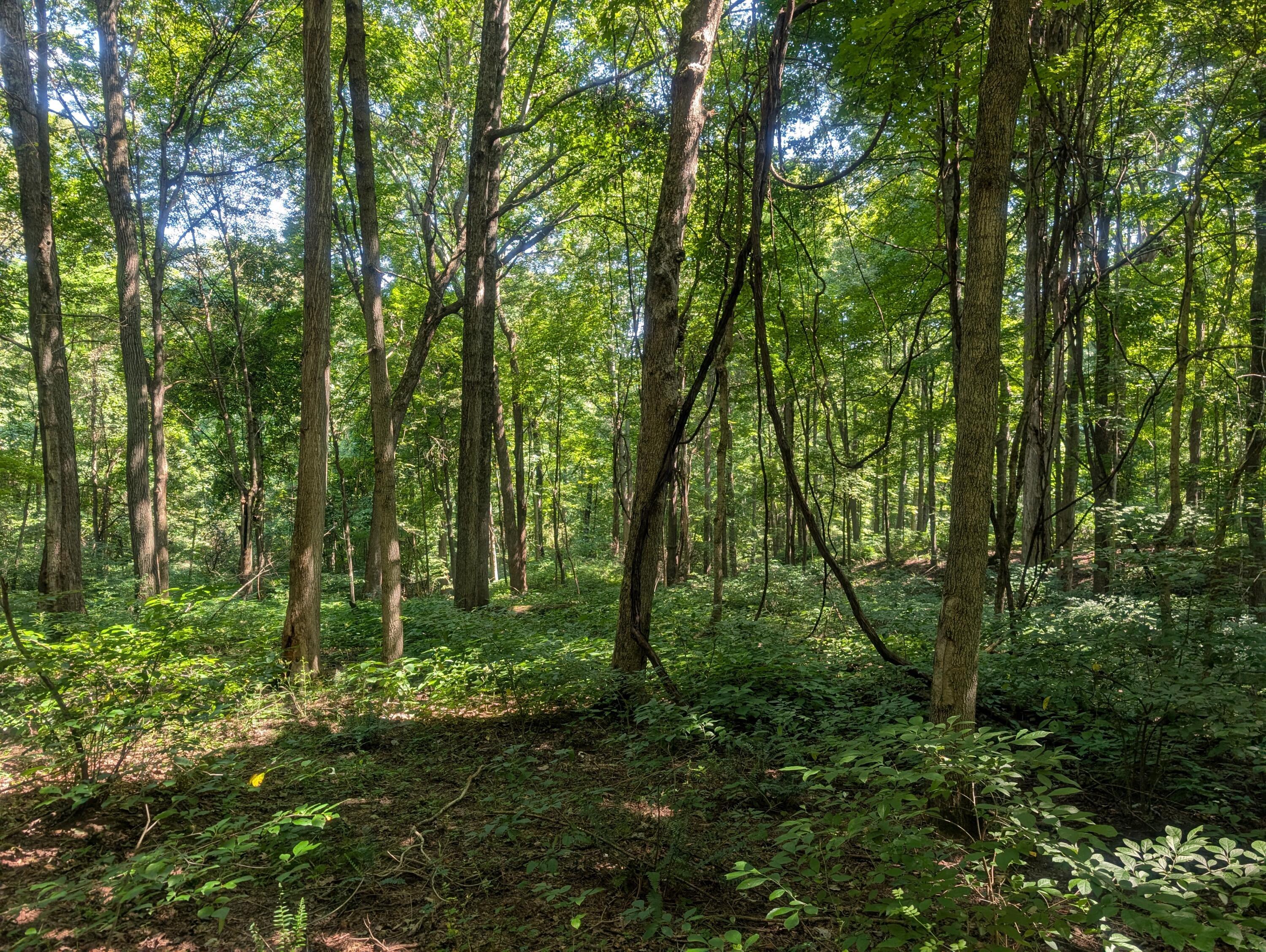 0 Toll Gate Road Somerset, OH 43783 - Photo 21 of 40 21