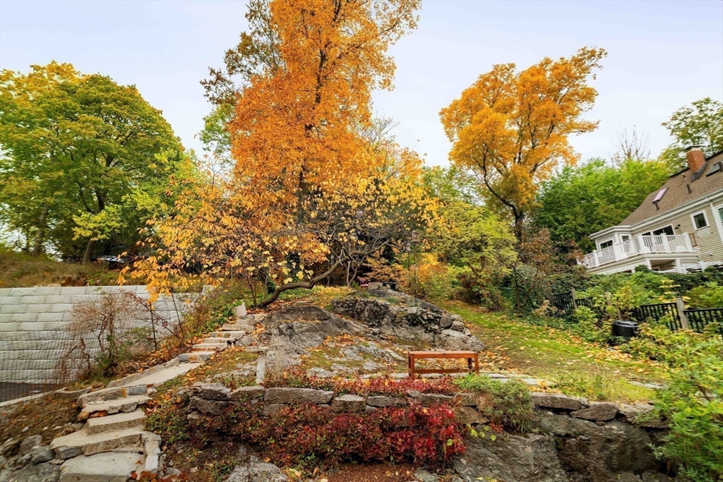 277 Lamartine Street Boston, MA 02130 - Photo 26 of 28 a view of a yard with plants and large trees