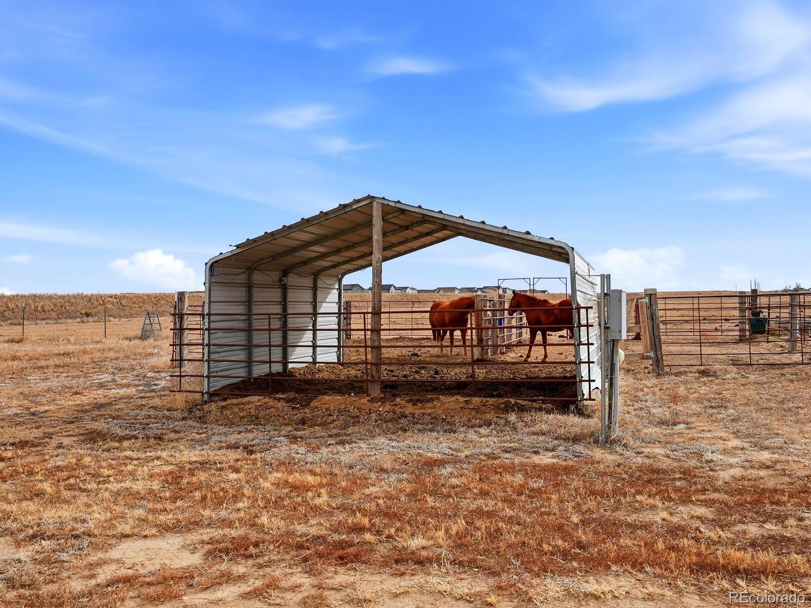 3374 County Road P Wiggins, CO 80654 - Photo 39 of 45