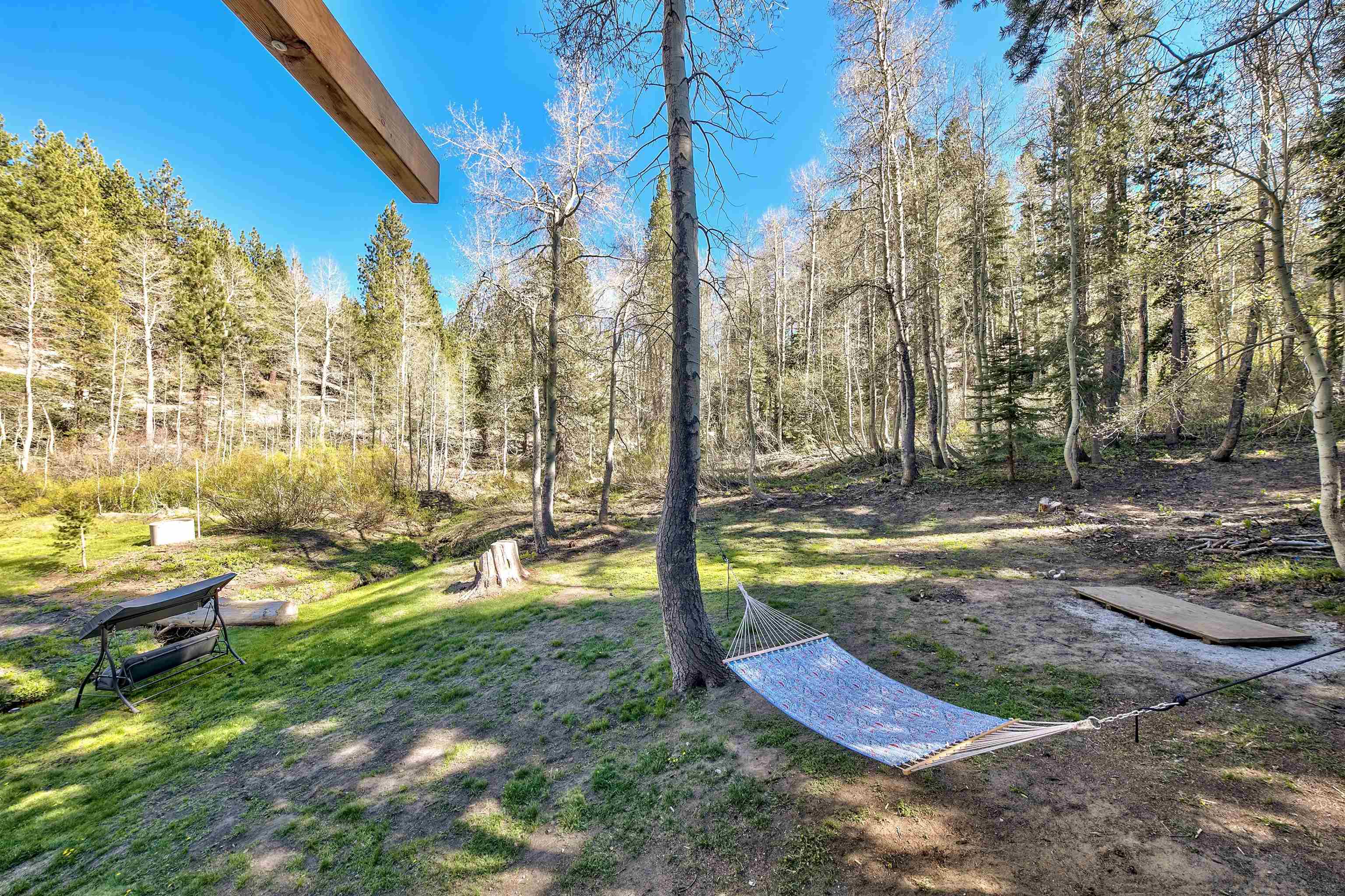 12065 Bums Gulch Road Reno, NV 89511 - Photo 16 of 21 a view of yard