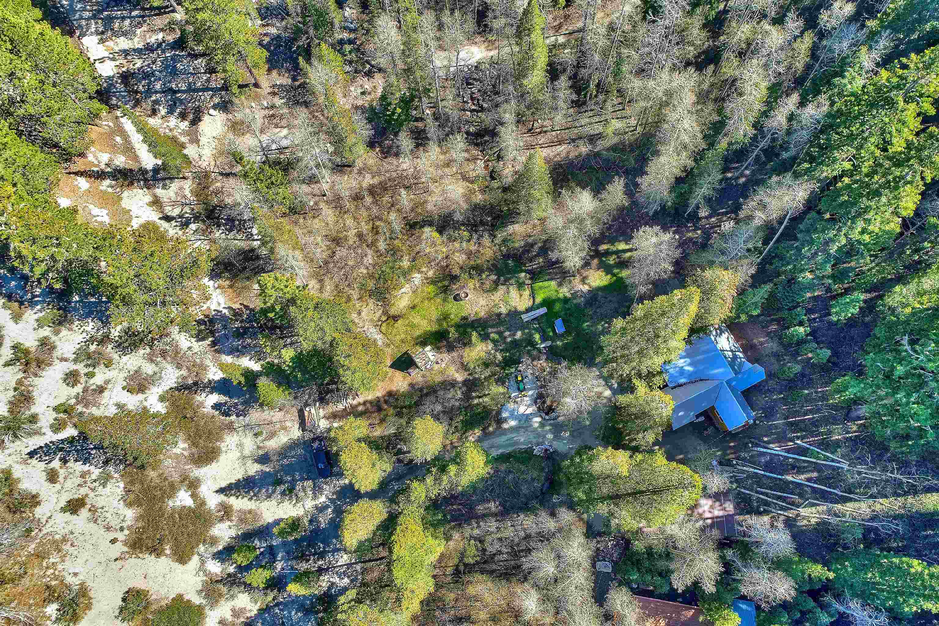 12065 Bums Gulch Road Reno, NV 89511 - Photo 20 of 21 a view of a tree with lots of plants