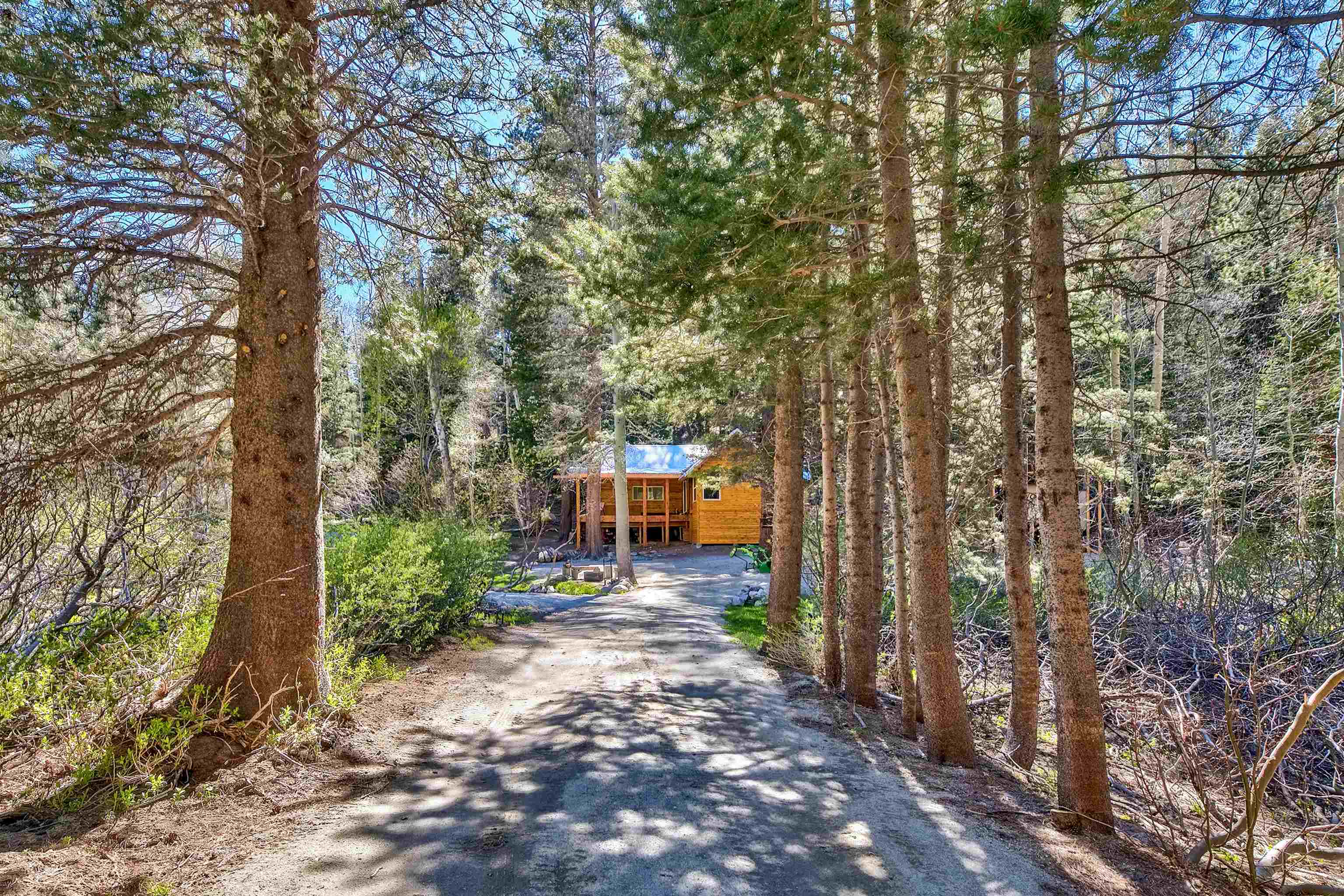 12065 Bums Gulch Road Reno, NV 89511 - Photo 2 of 21 a front view of a house with a yard and tree s