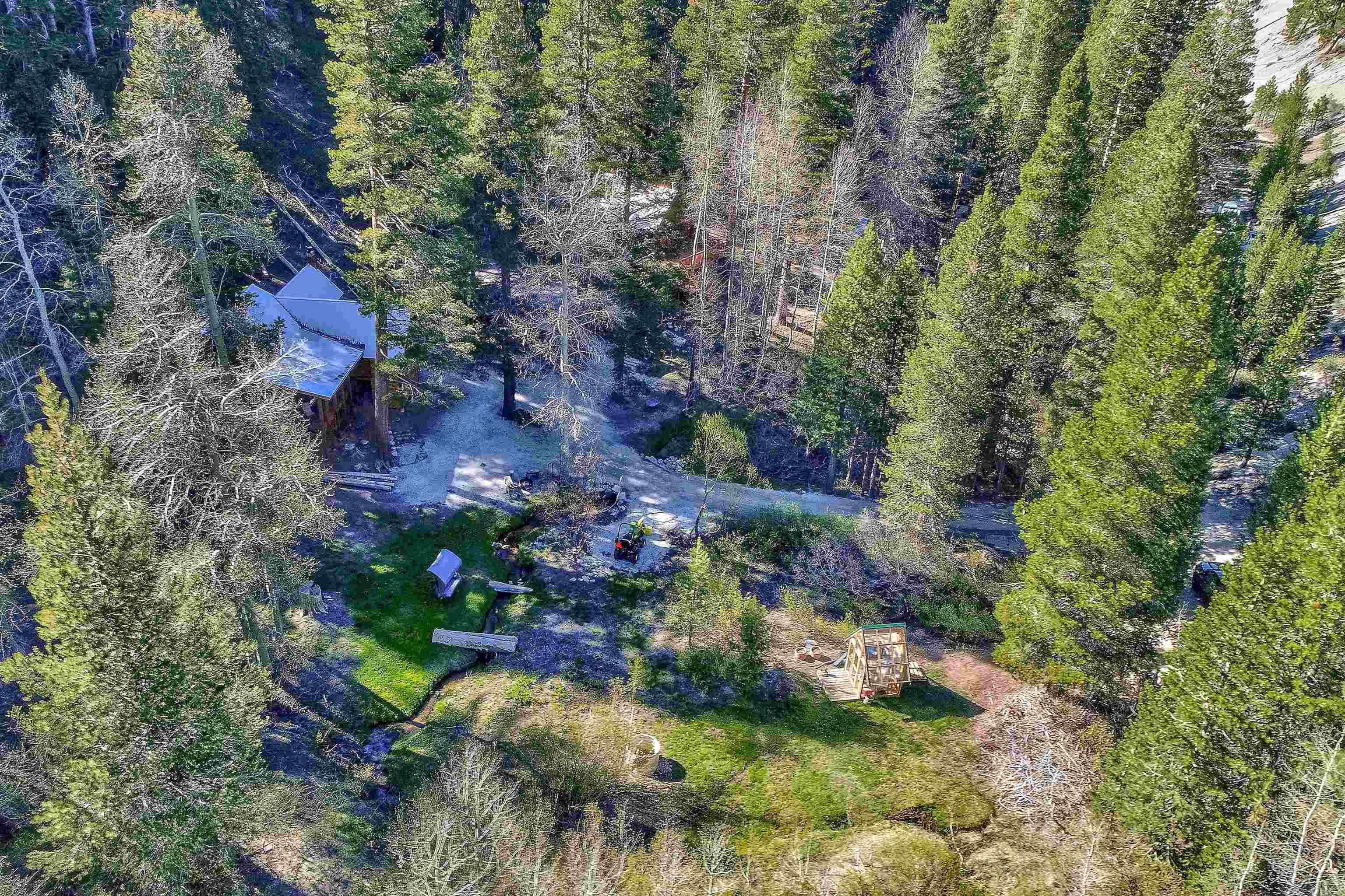 12065 Bums Gulch Road Reno, NV 89511 - Photo 21 of 21 a view of grapes plant