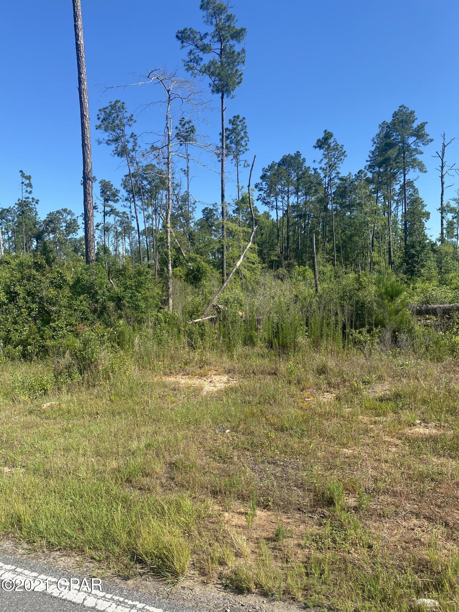 610 Alford Road Cottondale, FL 32431 - Photo 1 of 8