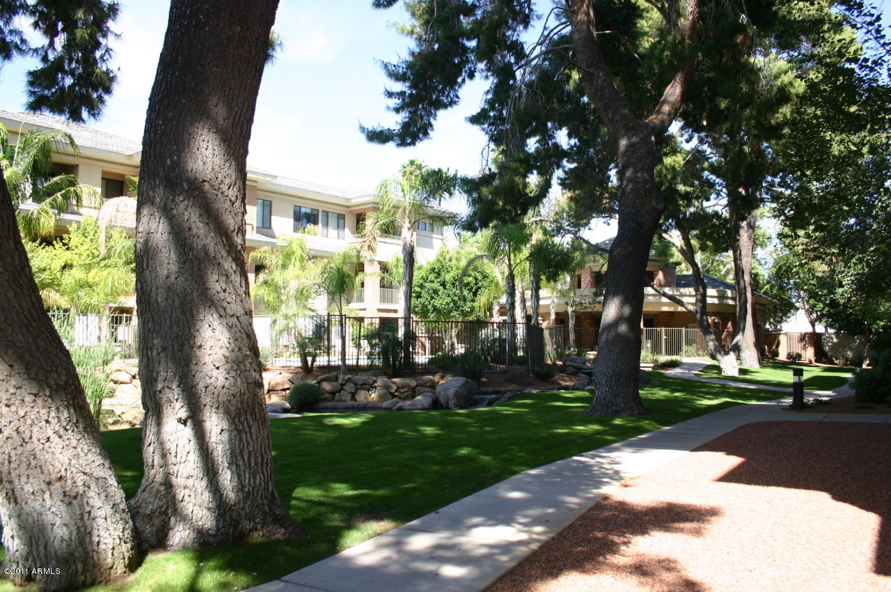 4488 East Thomas Road, Unit 2005 Phoenix, AZ 85018 - Photo 1 of 37 IMG_1632