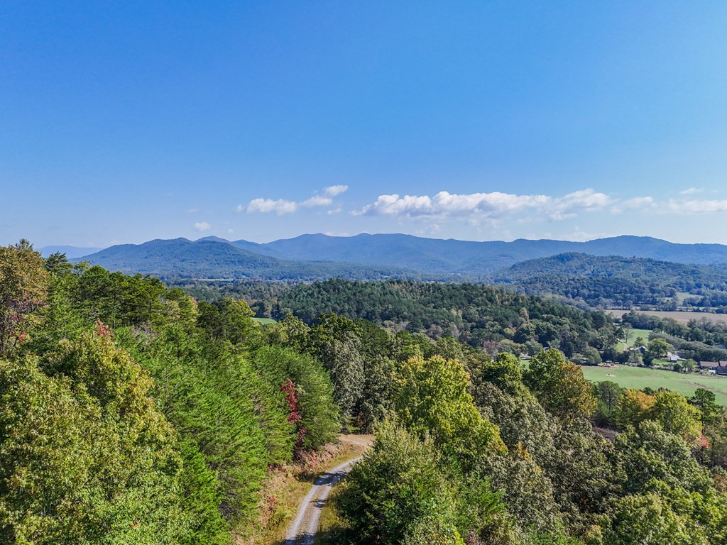 0 Mistletoe Ridge Murphy, NC 28906 - Photo 14 of 34