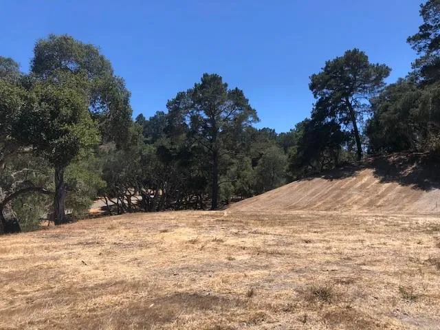 a view of a yard covered with snow in front of house