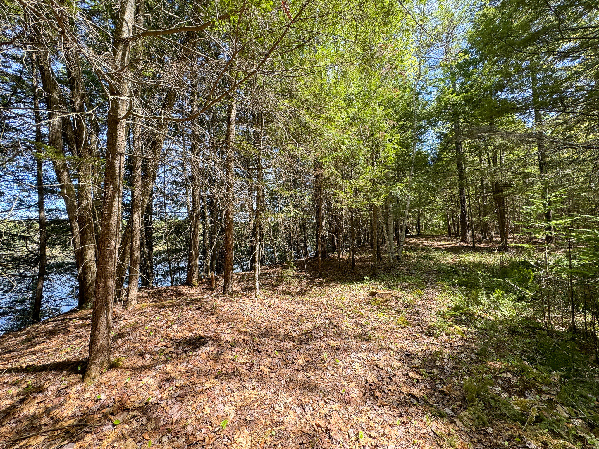 M2-l11-4 West Indian Road Lincoln, ME 04457 - Photo 19 of 27 20