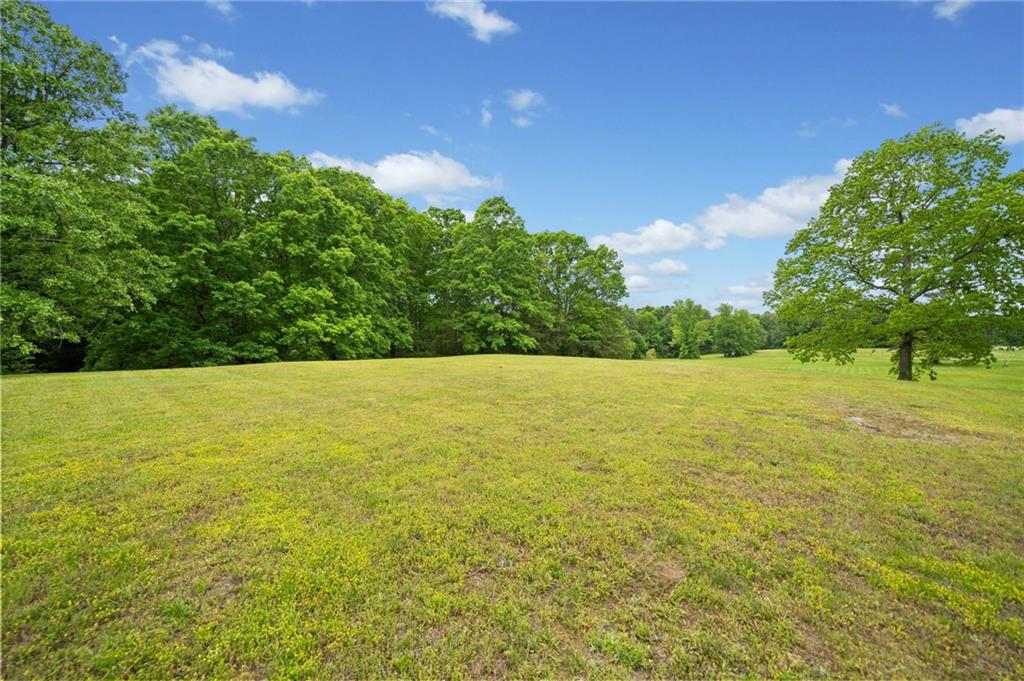 945 Old Federal Road South Chatsworth, GA 30705 - Photo 9 of 11