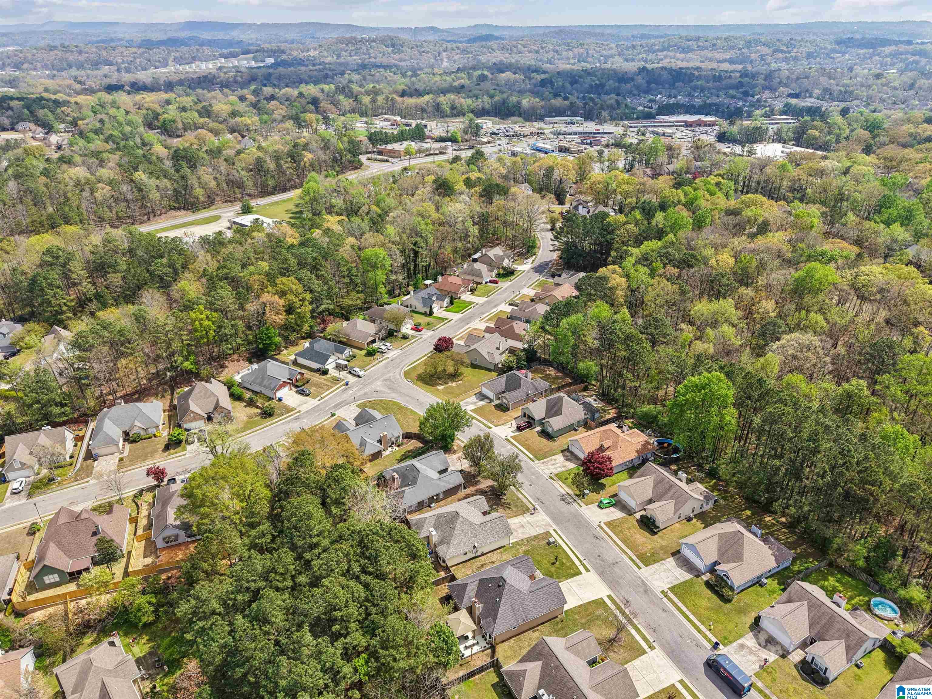 308 St Charles Way Helena, AL 35080 - Photo 9 of 38