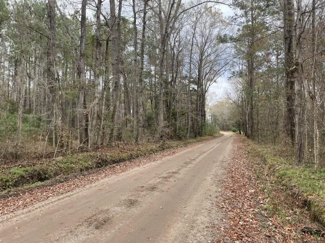 $69,500 | 0 Dodge Lane, Round O, SC 29474
