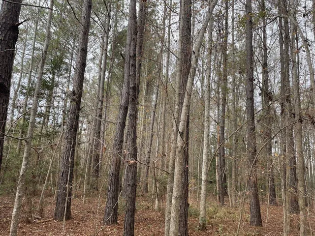 $69,500 | 0 Dodge Lane, Round O, SC 29474