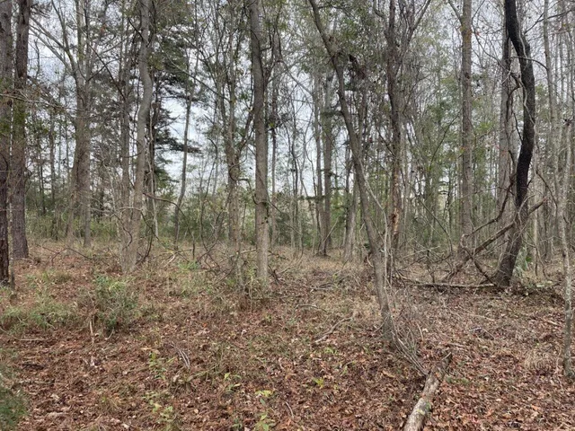 $69,500 | 0 Dodge Lane, Round O, SC 29474