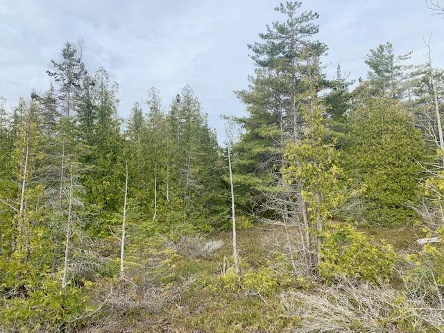 Lot 18 Albany Point Road Presque Isle, MI 49777 - Photo 9 of 13 Gallery Image 9