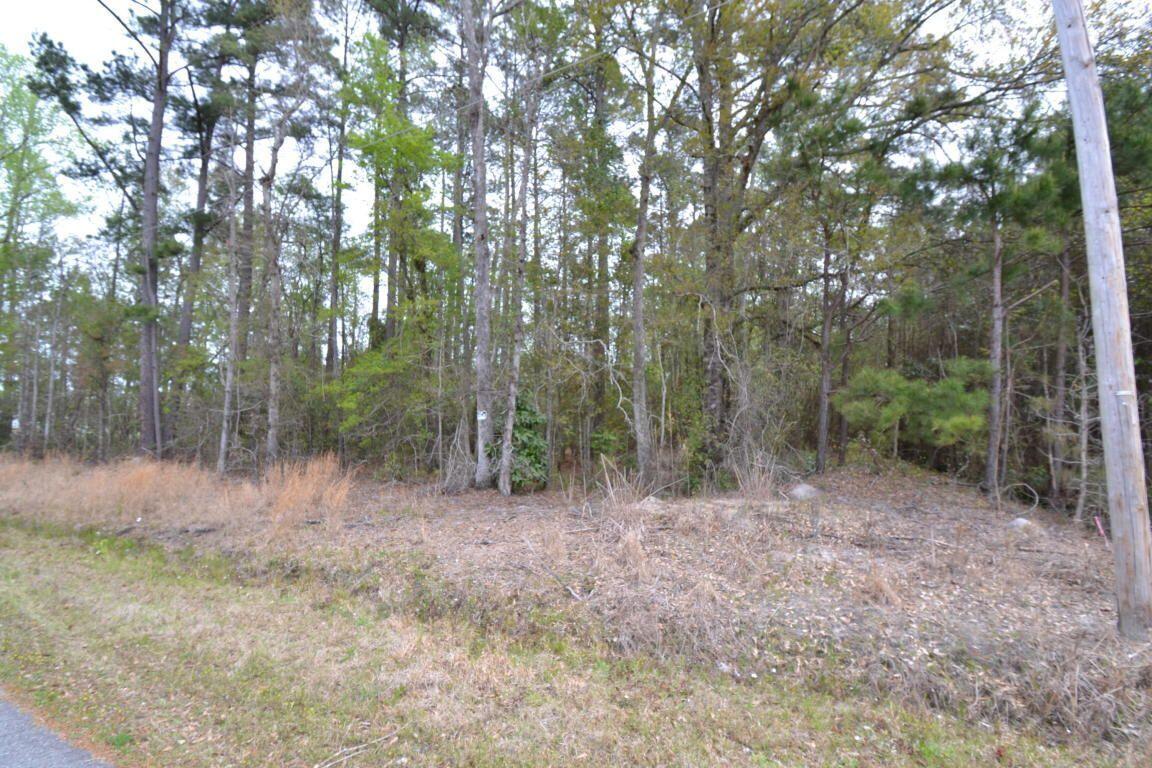 0 Charles Street St. George, SC 29477 - Photo 1 of 2 charles street