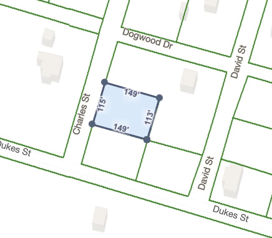 0 Charles Street St. George, SC 29477 - Photo 2 of 2 Screen Shot 2021-10-25 at 5.46.12 PM