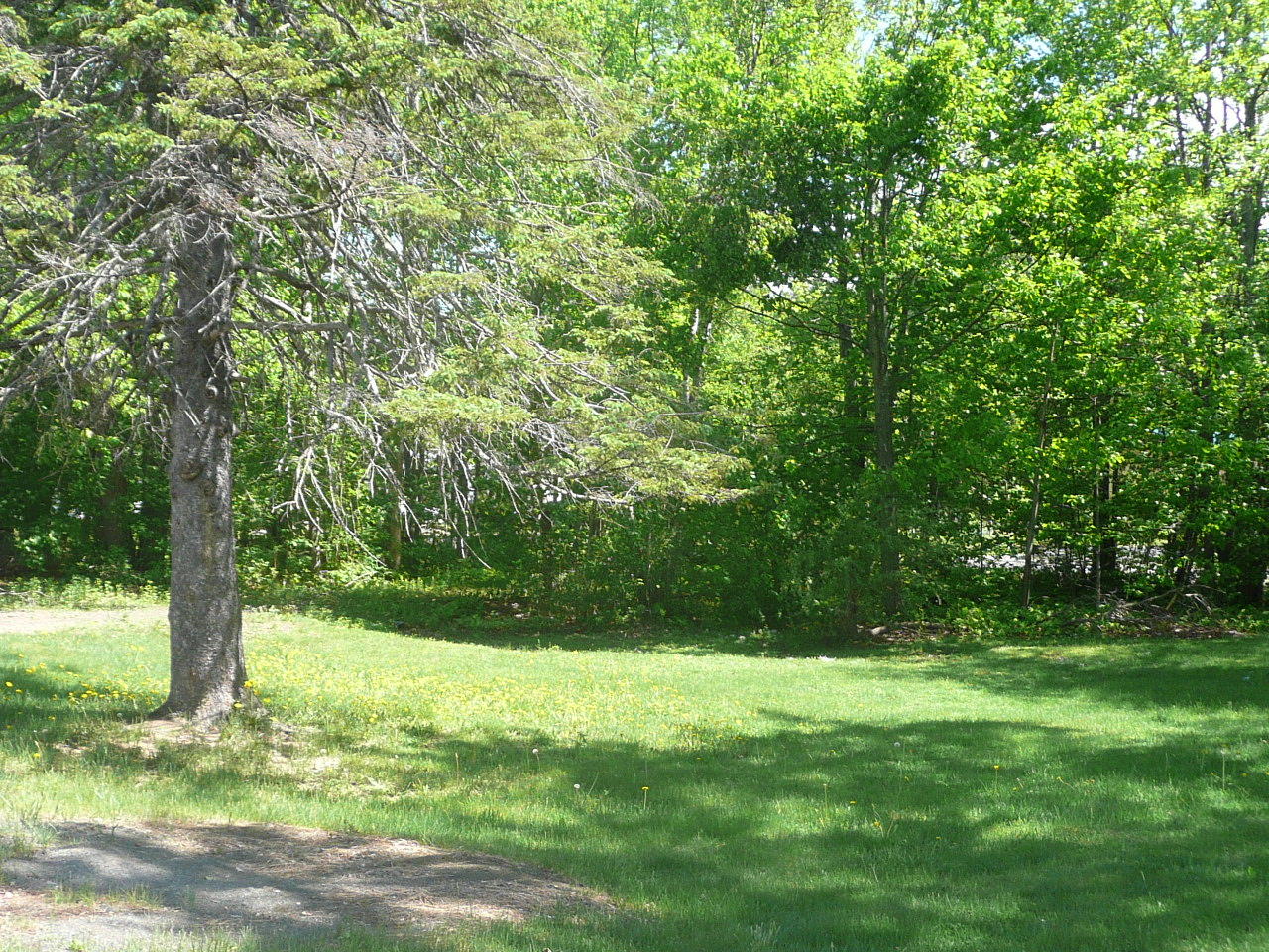 8 Morrill Street Milo, ME 04463 - Photo 19 of 20 P1040398