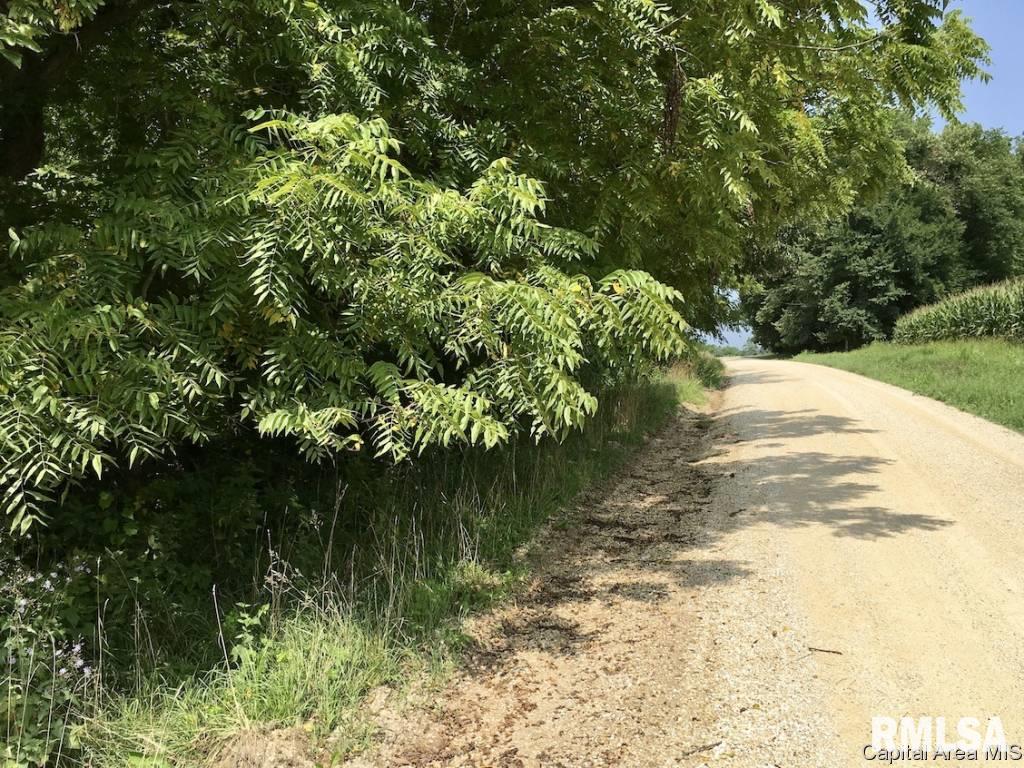 -5 Acres) Messmer Road Savanna, IL 61074 - Photo 3 of 5 Gallery Image 3