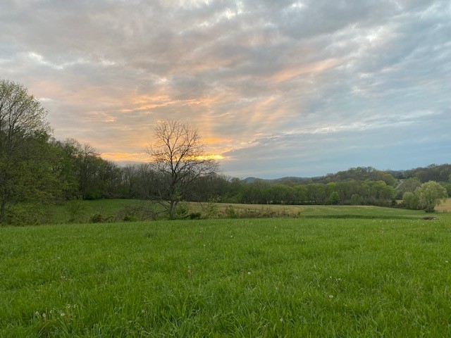1 Clyde Gleaves Road Wartrace, TN 37183 - Photo 1 of 50 Gallery Image 1