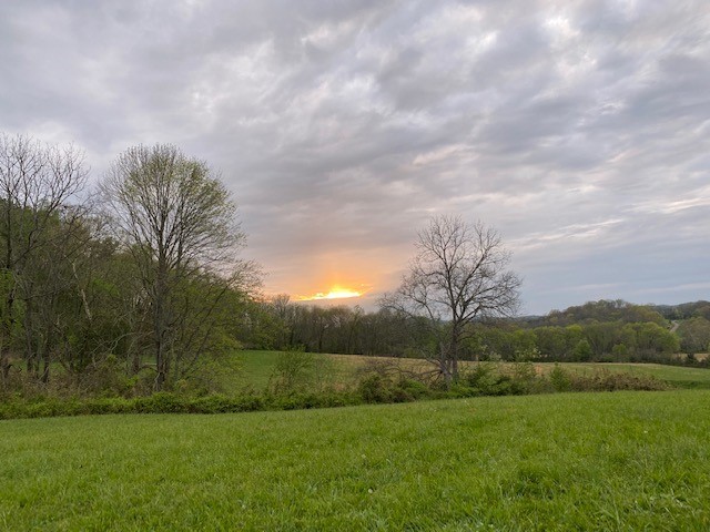 1 Clyde Gleaves Road Wartrace, TN 37183 - Photo 2 of 50 Gallery Image 2