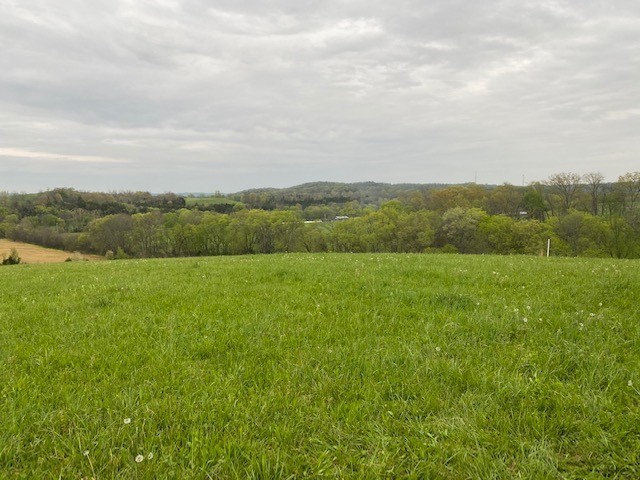 1 Clyde Gleaves Road Wartrace, TN 37183 - Photo 11 of 50 Gallery Image 11