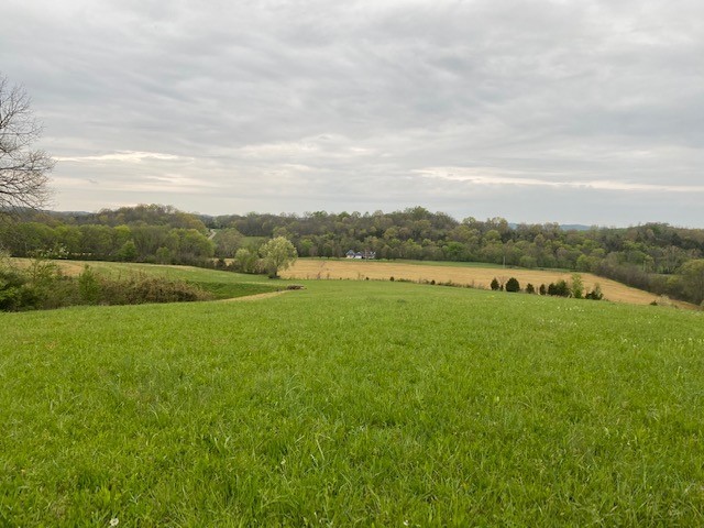 1 Clyde Gleaves Road Wartrace, TN 37183 - Photo 12 of 50 Gallery Image 12