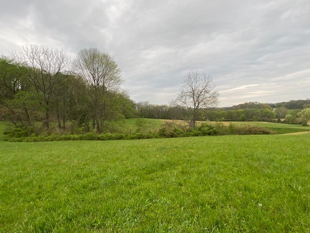 1 Clyde Gleaves Road Wartrace, TN 37183 - Photo 13 of 50 Gallery Image 13