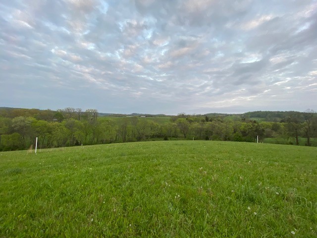 1 Clyde Gleaves Road Wartrace, TN 37183 - Photo 15 of 50 Gallery Image 15