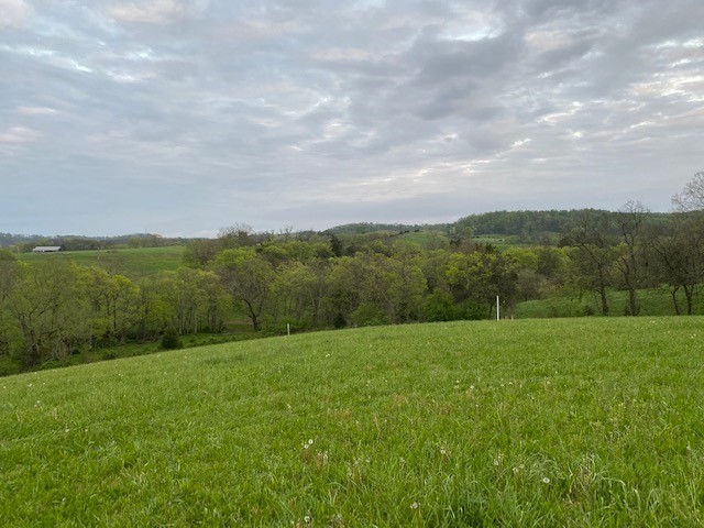 1 Clyde Gleaves Road Wartrace, TN 37183 - Photo 16 of 50 Gallery Image 16