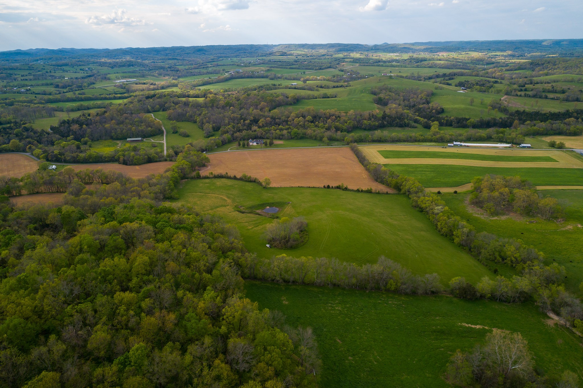 1 Clyde Gleaves Road Wartrace, TN 37183 - Photo 17 of 50 Gallery Image 17