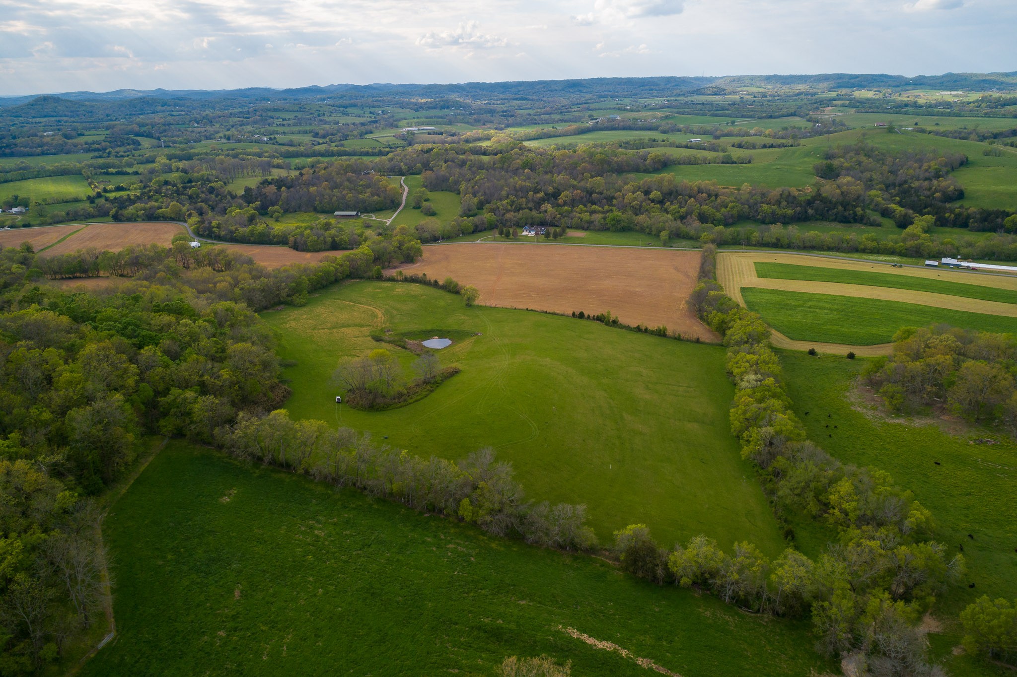 1 Clyde Gleaves Road Wartrace, TN 37183 - Photo 18 of 50 Gallery Image 18